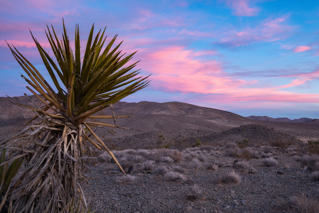 Barstow